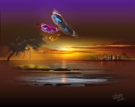 Petit papillon argent�